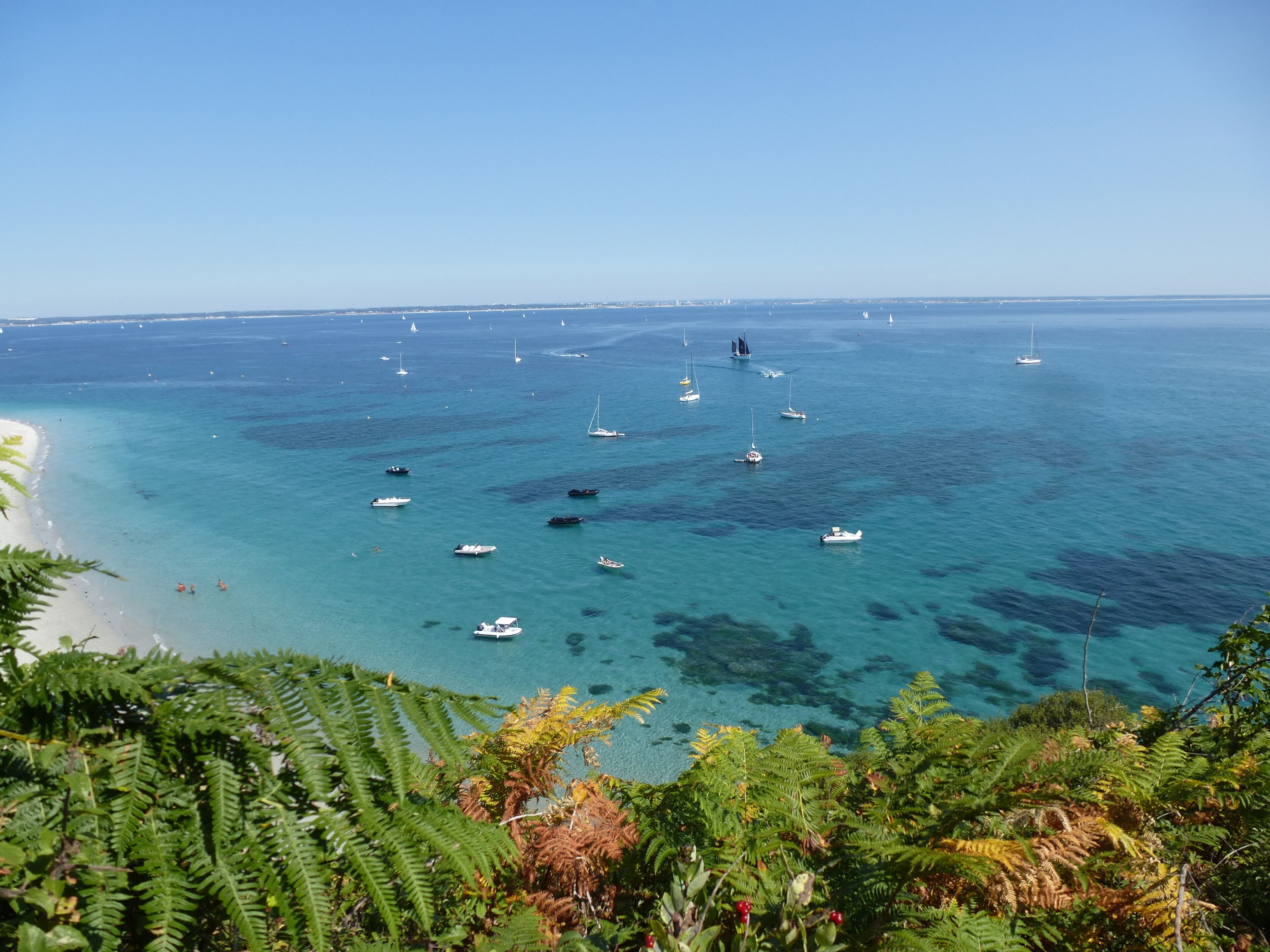 A coastal view with clear turquoise waters, numerous boats, and lush green foliage.
