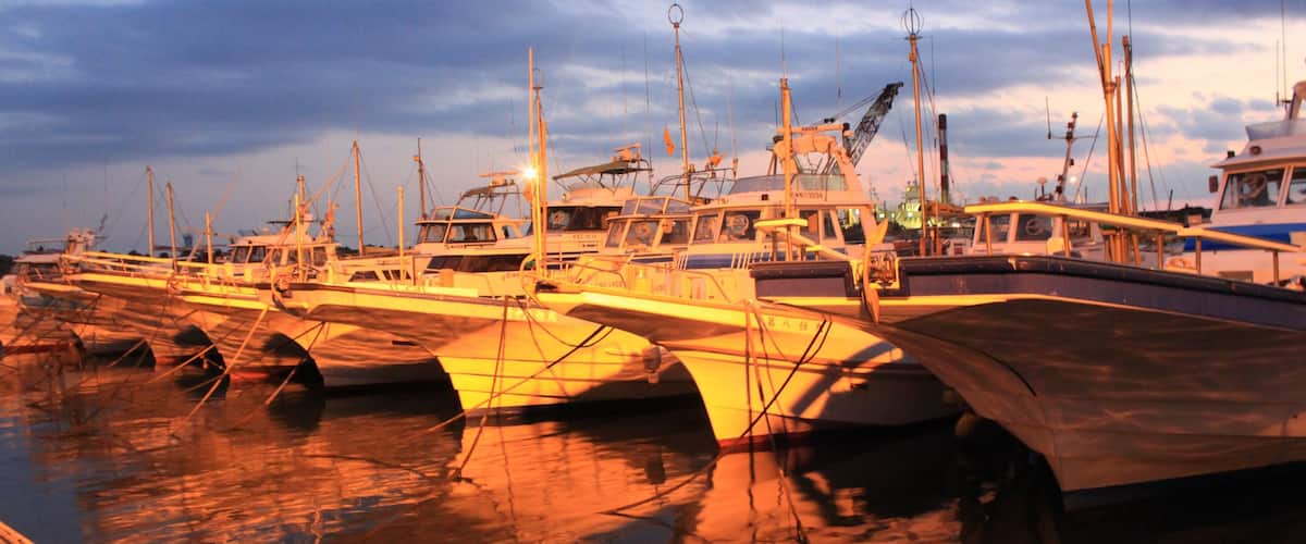 A marina with several boats docked at sunset.