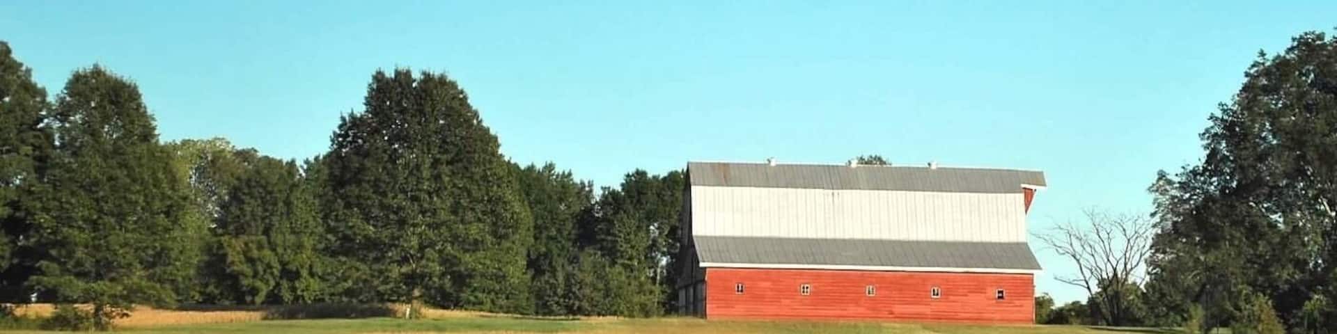 Harvest time in Tennessee #MyBackyard #tennesseefarms