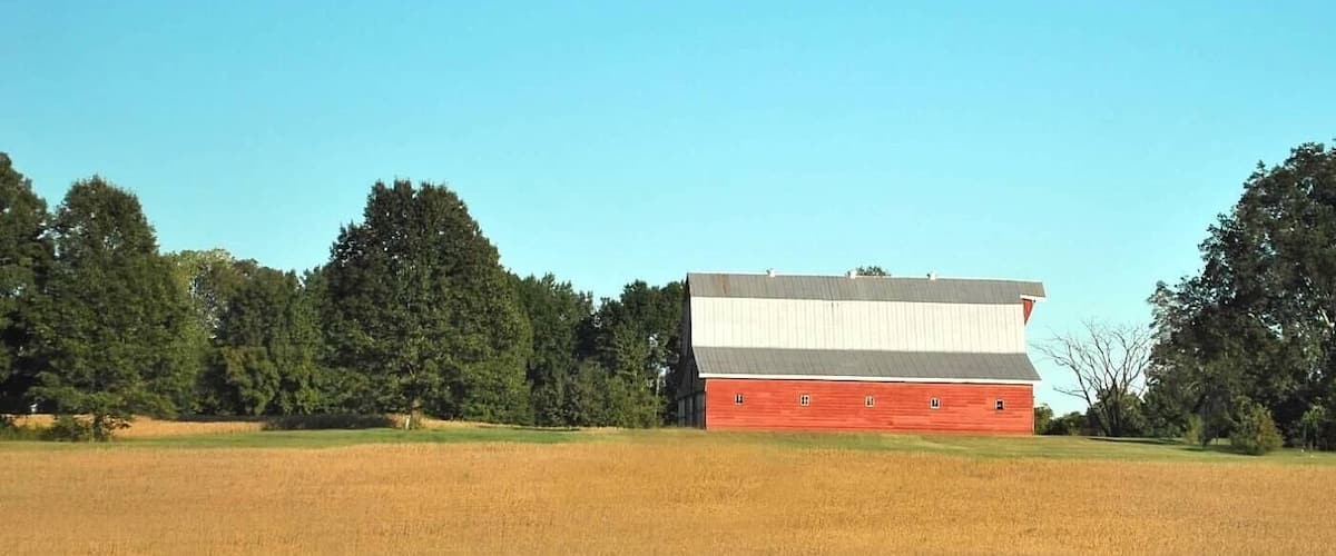 Harvest time in Tennessee #MyBackyard #tennesseefarms