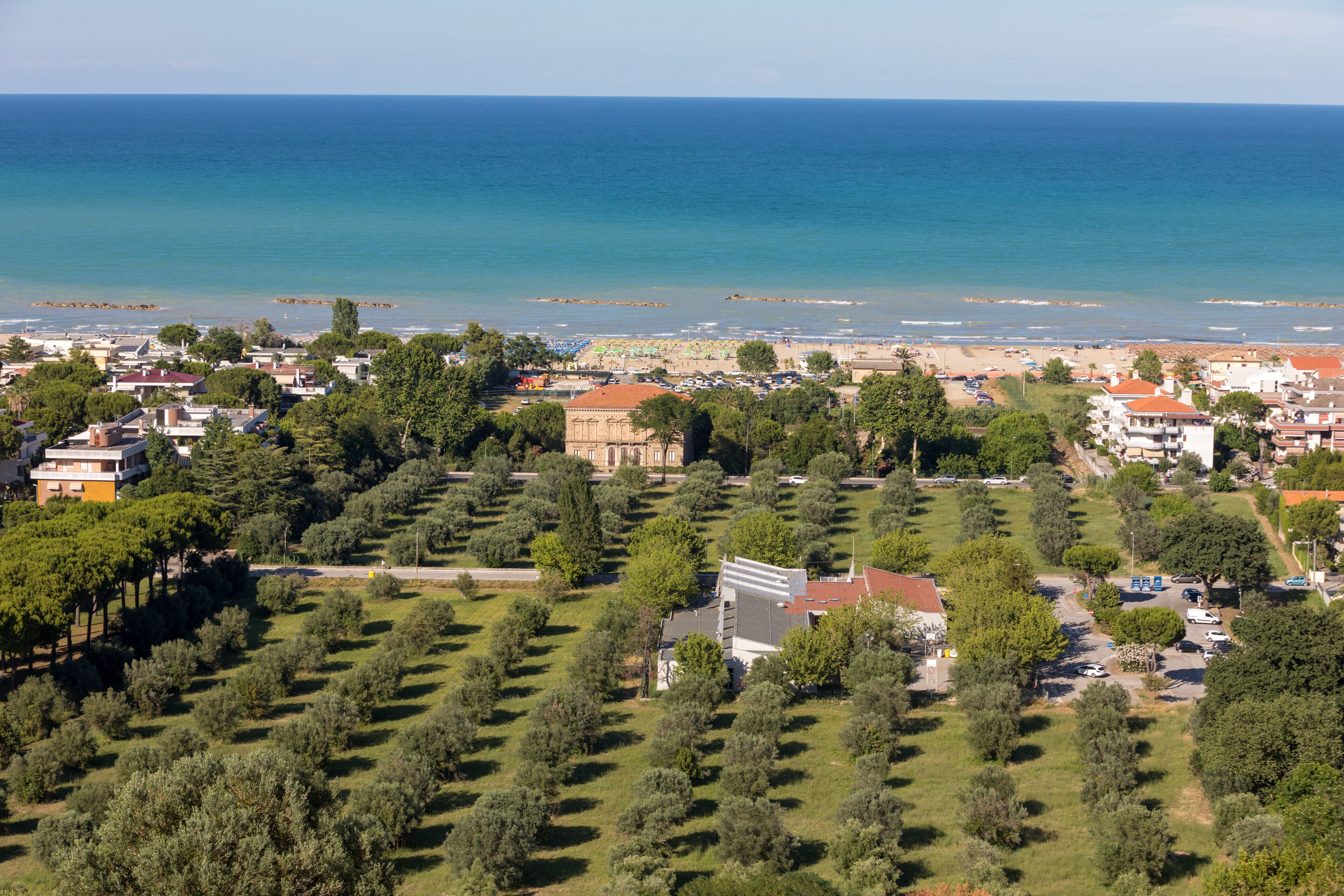 Olive grove and Adriatic coast in Roseto degli Abruzzi, Italy