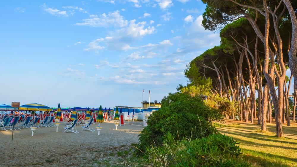 Une plage bordée de rangées de parasols et de chaises aux couleurs vives, une étendue de sable et, au loin, une ligne d’arbres.