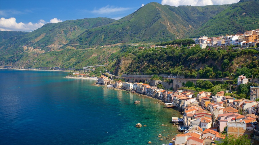 Scilla
