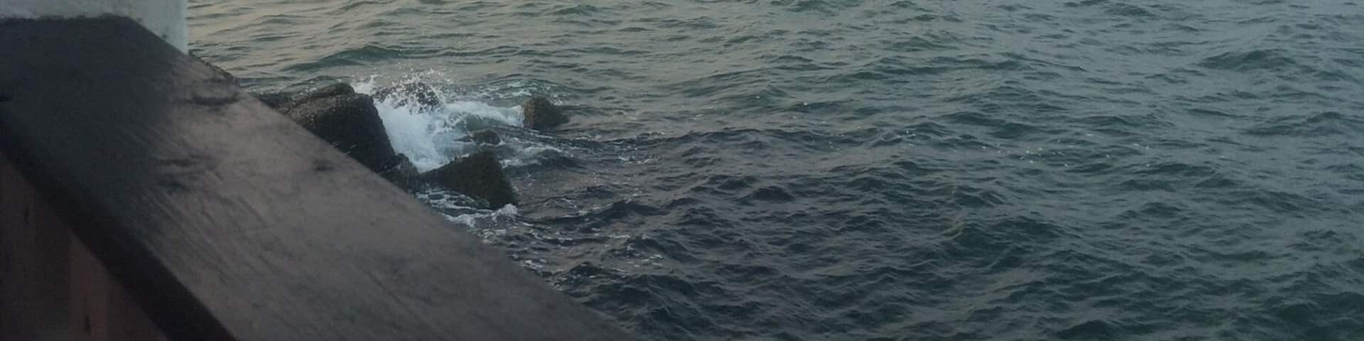 Italy - Dinner in Casalborsetti