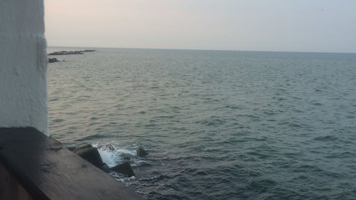 Italy - Dinner in Casalborsetti