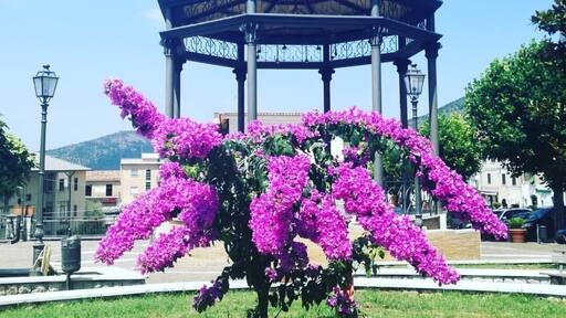 Roccasecca is a small town in southern Lazio in Italy. There's a modern center and the historic center where you can find the house of Saint Tommaso D'Aquino, famous character in Italian medieval history.