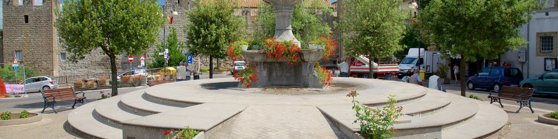 Vitorchiano mettant en vedette square ou place, fontaine et jardin