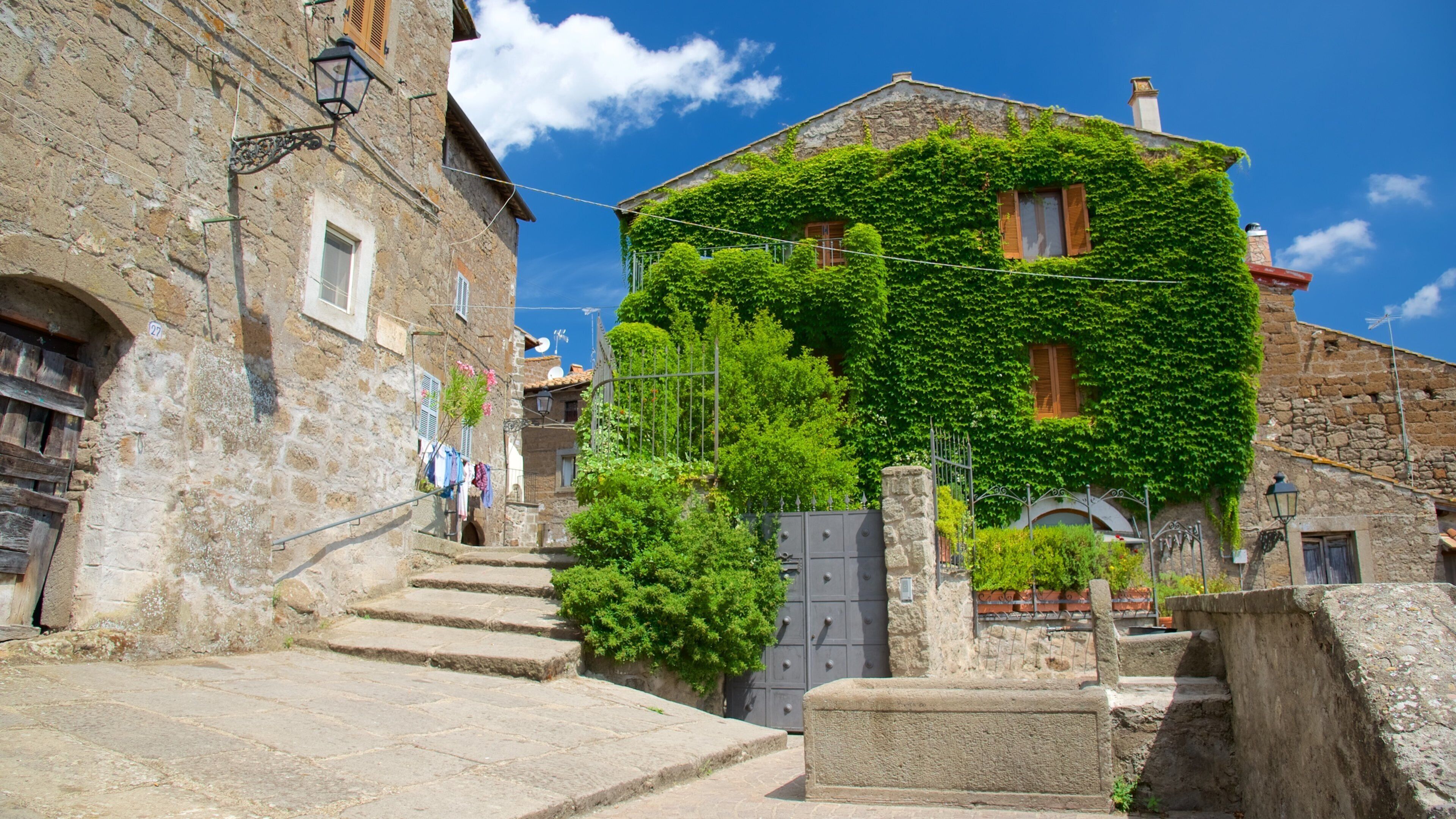 Vitorchiano featuring a park