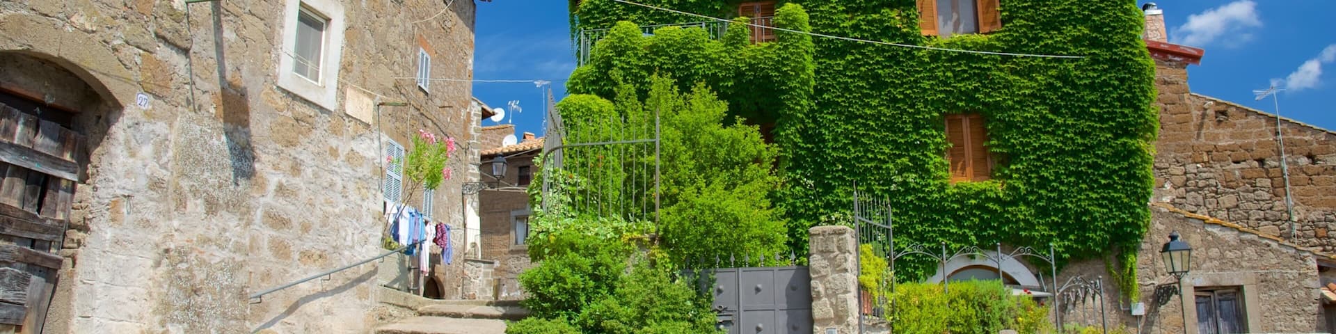 Vitorchiano featuring a park