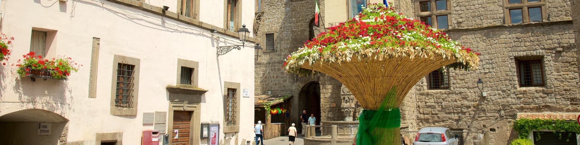 Vitorchiano mostrando flores