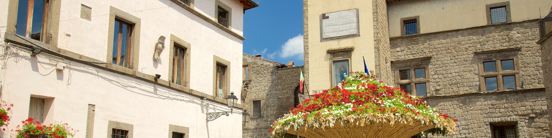 Vitorchiano featuring flowers