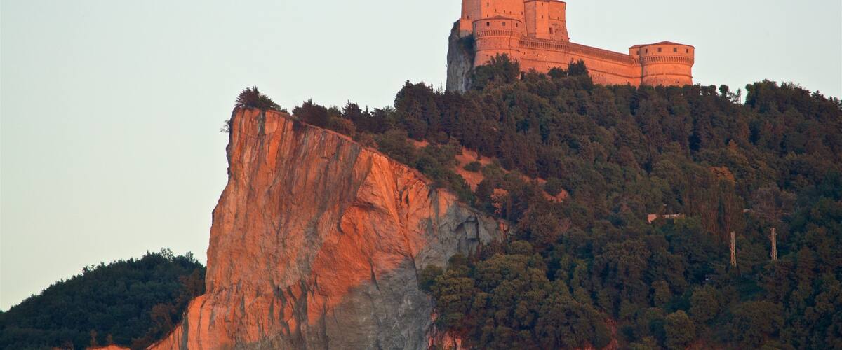 A castle on a cliff with dense forest.