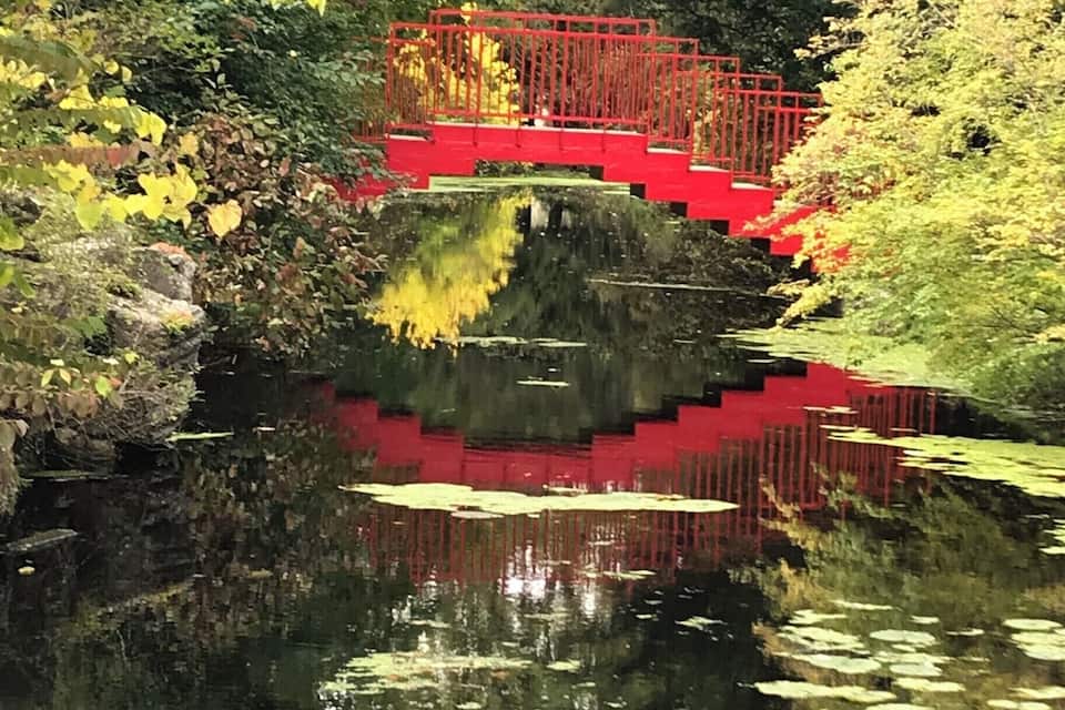 A red bridge over a pond with lily pads and autumn foliage.