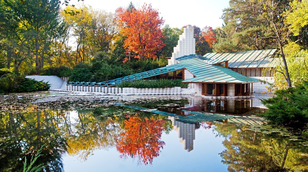 Midland showing a park, fall colors and a pond