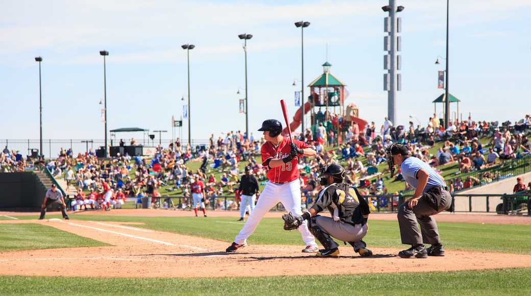 Midland which includes a sporting event as well as a large group of people