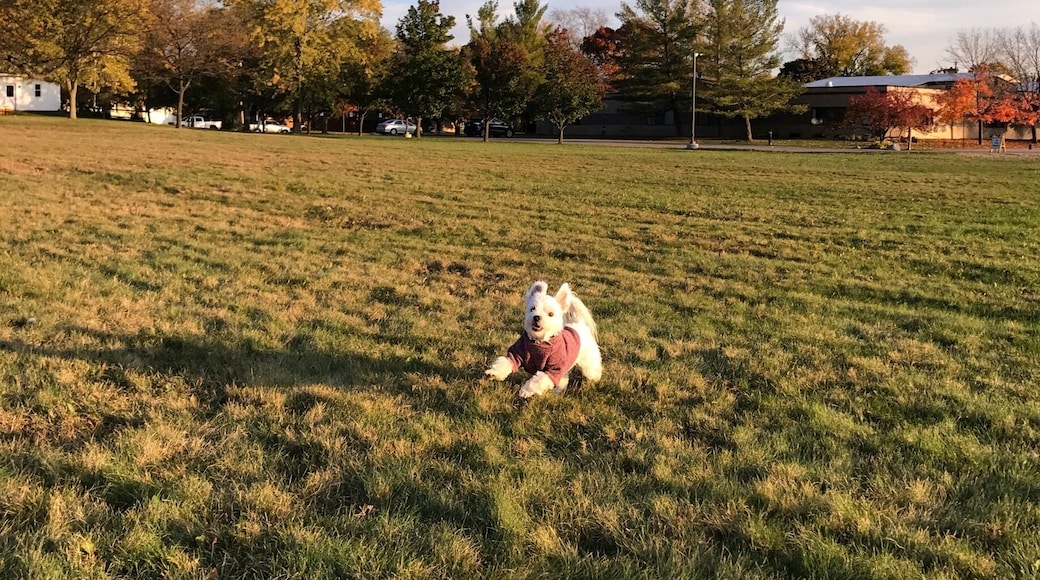 Small but sweet park in Midland