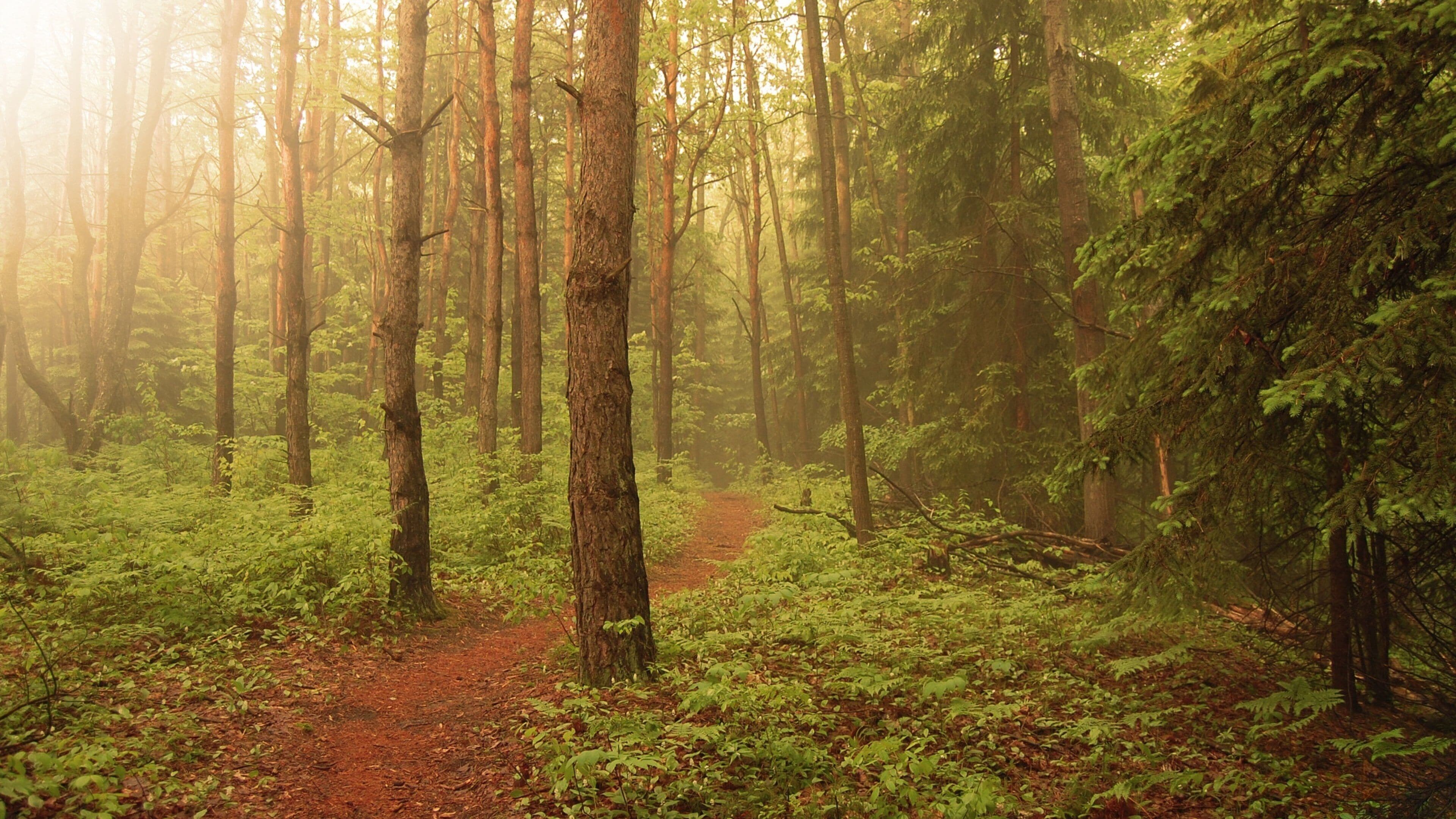 <h2>Top rated places to stay in Midland for families</h2>