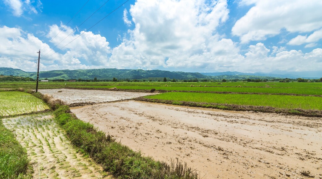 Flat plains and distant mountain range during a sunny day in Llanera, Nueva Ecija, Philippines.