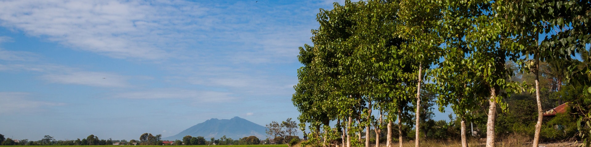 Reisfelder, Philippinen