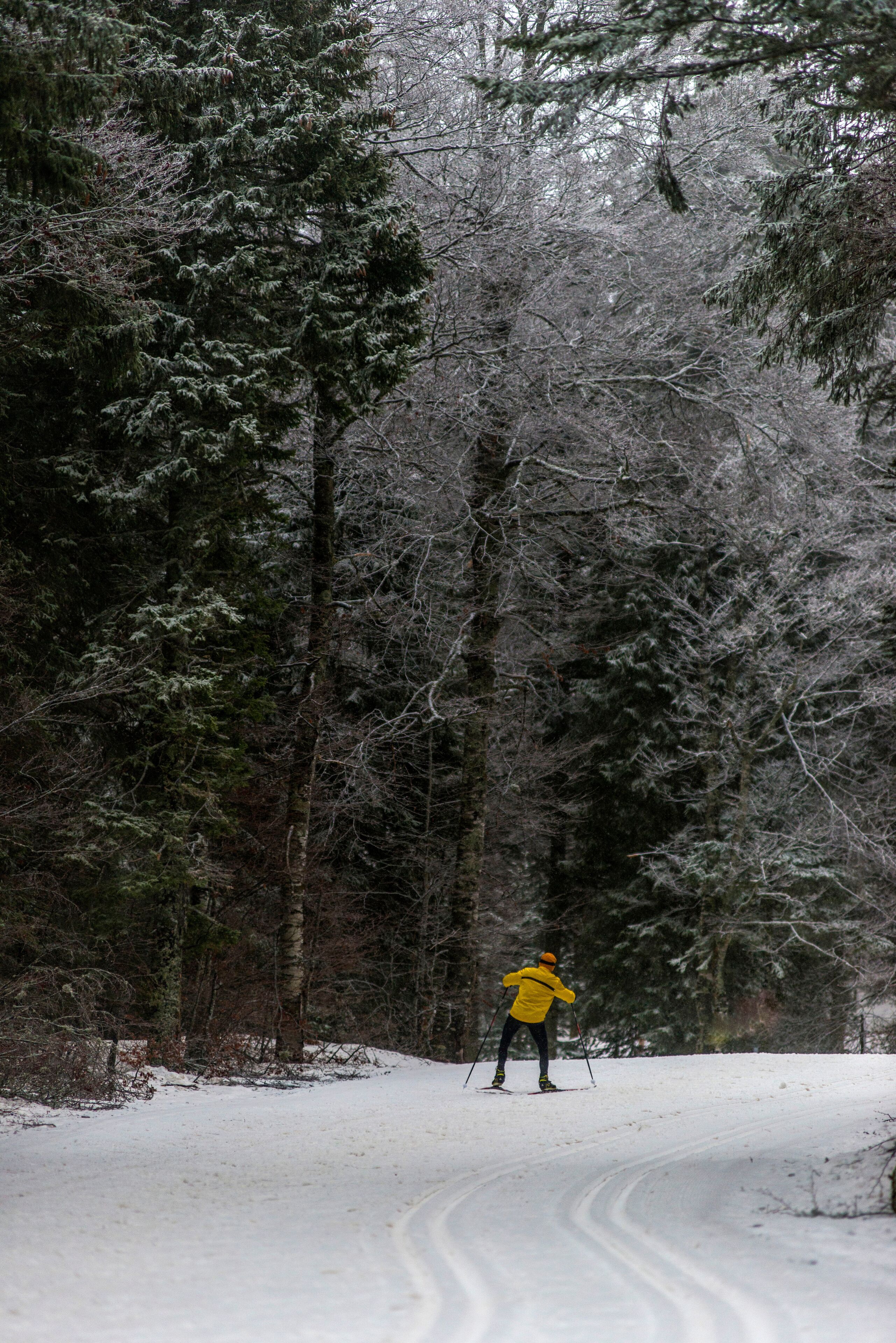 Ski nordique sur le site de La Vattay à Mijoux, Ain, France