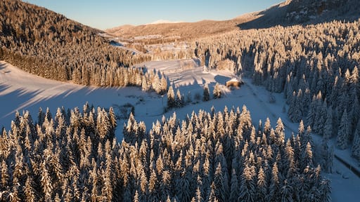 Vue aérienne drone de la vallée de la Valserine enneigée, avec la lumière chaude et rasante du coucher de soleil sur les arbres