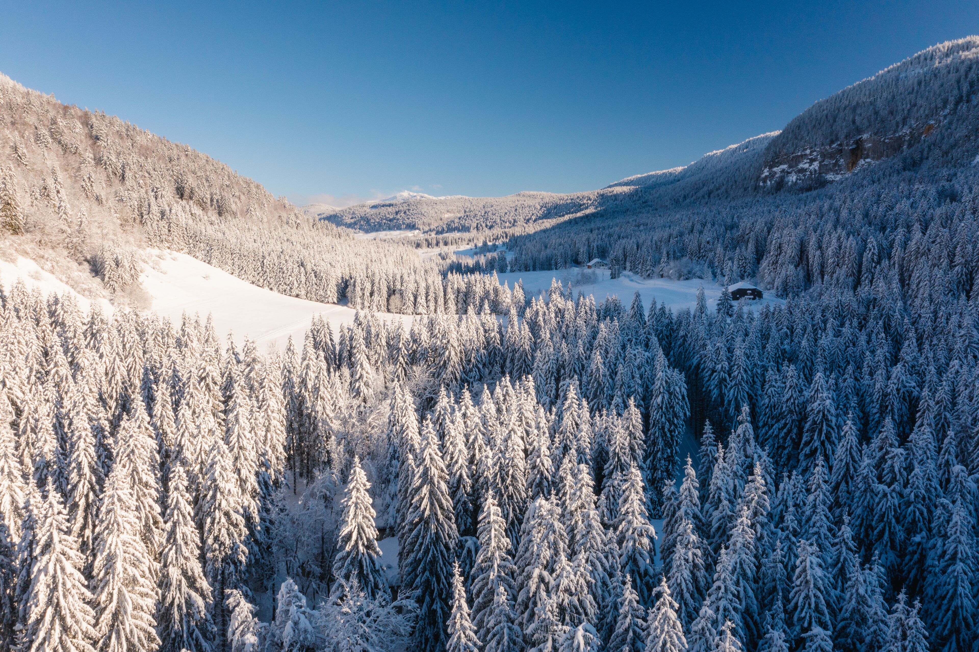 Vue aérienne de vallée de la Valserine (Jura, France), forêt recouverte de neige.