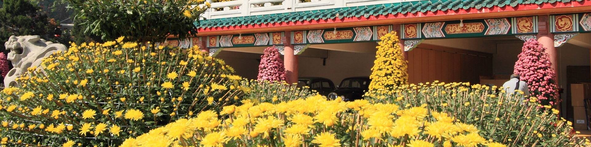 Chinese garden of Yuen Yuen Institute temple
