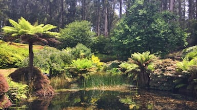 Trekking in the Upper Mustang