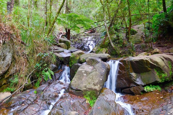 A nice little waterfall on Mt Dandenong. It's best to get off the track and climb up the waterfall for the best views and photos. (Can be super slippery and muddy when wet).