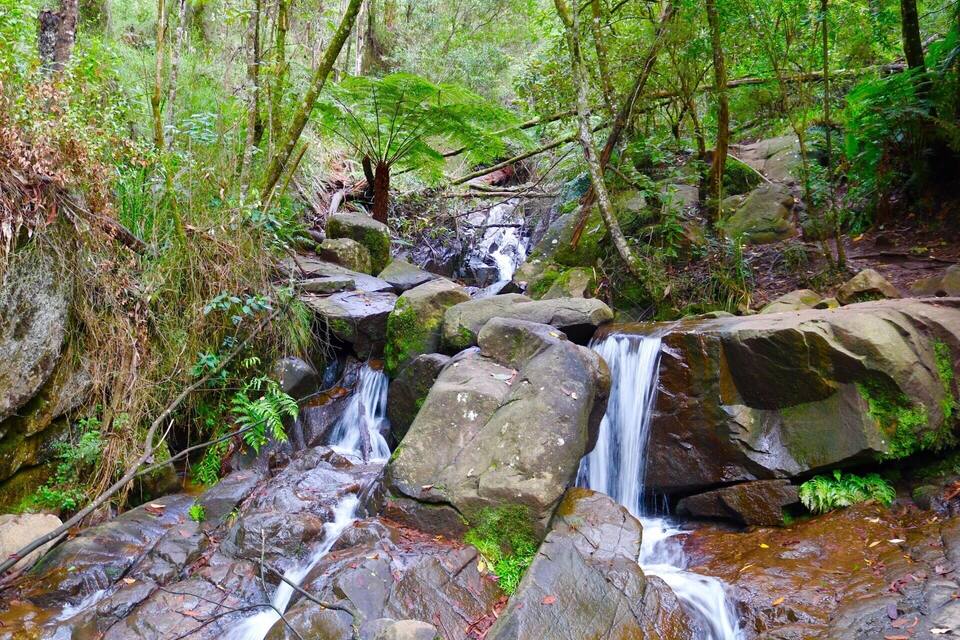 A waterfall cascading over rocks in a forested area.