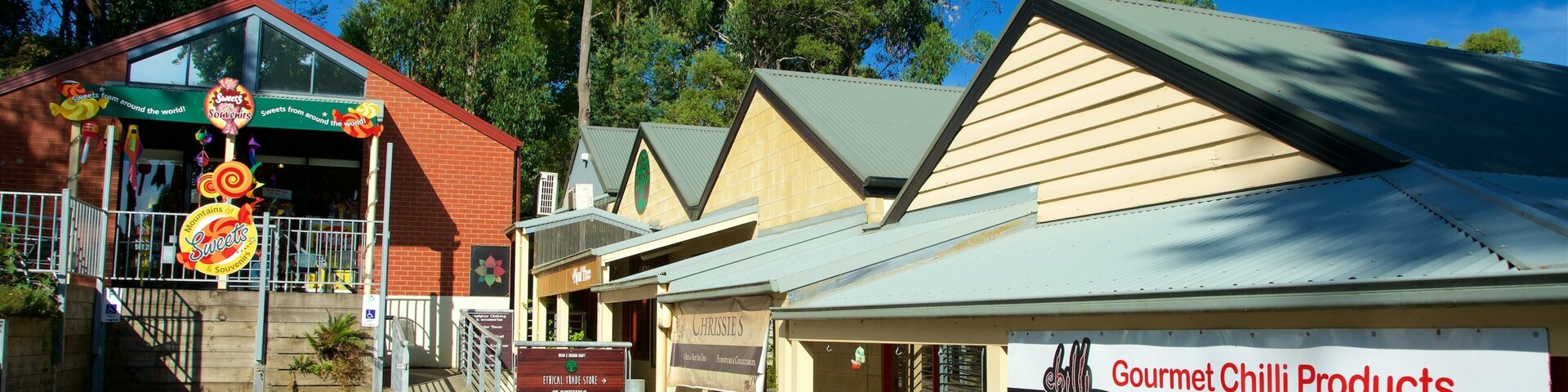 A street with shops including a confectionery and a gourmet chilli products store.