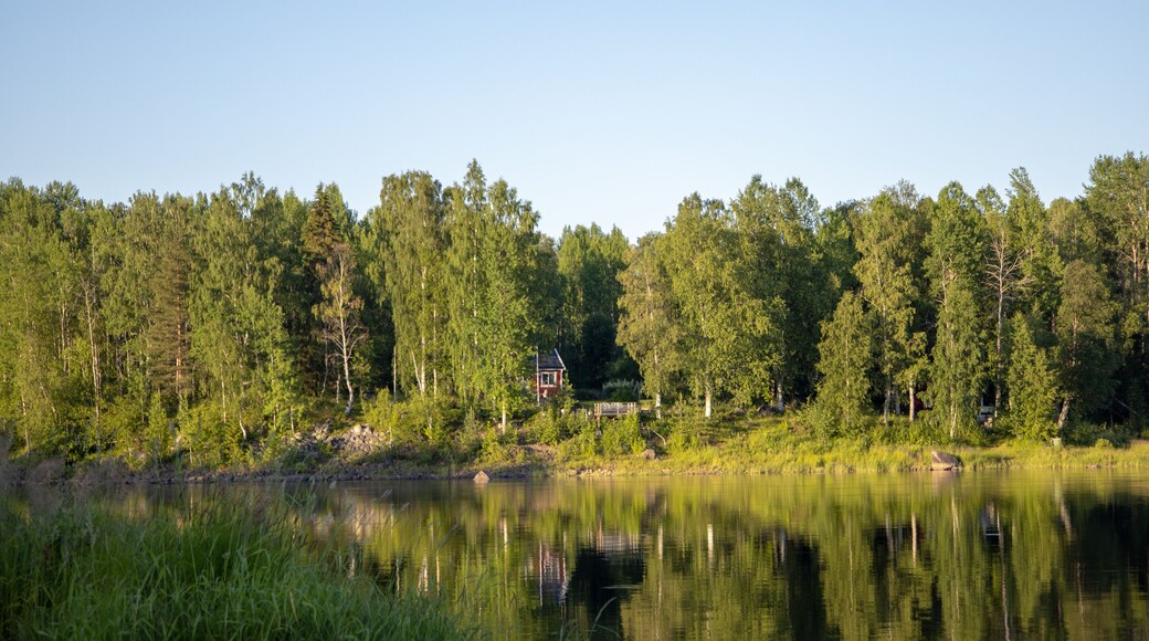 View of Kalix river, Kalixalven, outside of Kalix city on a summer da
