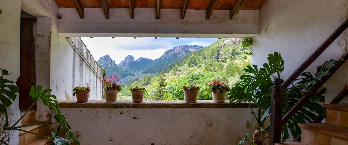 A balcony with potted plants overlooking a mountainous landscape.