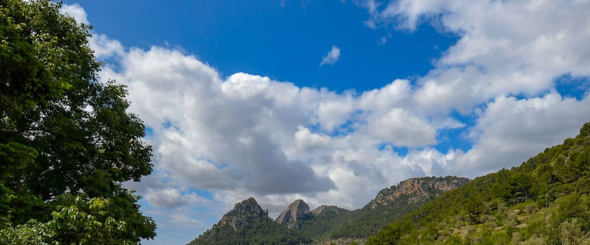 Mountain views from the stunning gardens. Try their homemade lemon ice-cream.