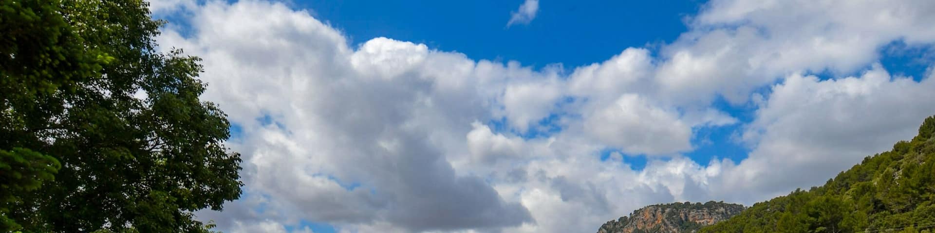 Mountain views from the stunning gardens. Try their homemade lemon ice-cream.