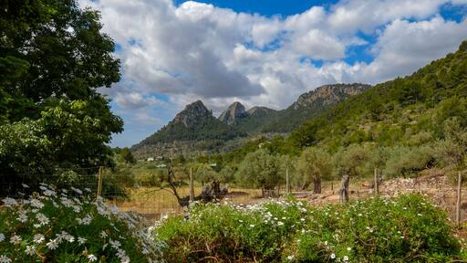 Mountain views from the stunning gardens. Try their homemade lemon ice-cream.
