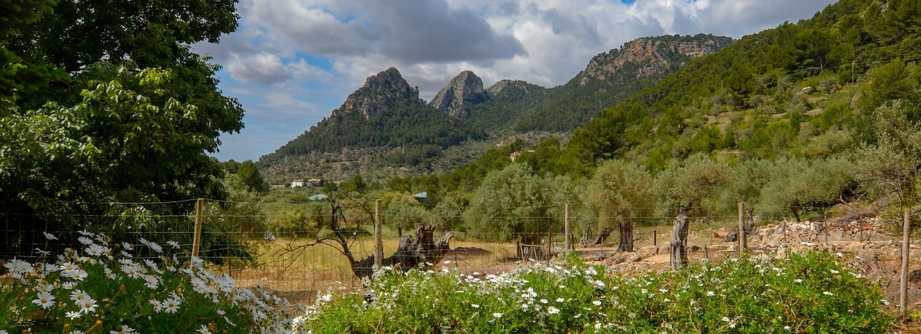 Mountain views from the stunning gardens. Try their homemade lemon ice-cream.