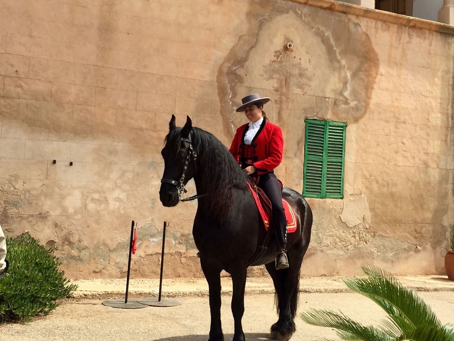 Son Amar Mallorca Spain... This was an introduction to a planned Flamenco dancing show.