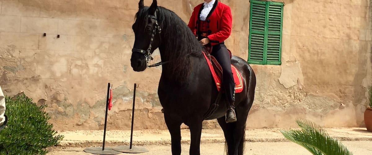 A person riding a black horse with a red saddle in front of a weathered building with green shutters.