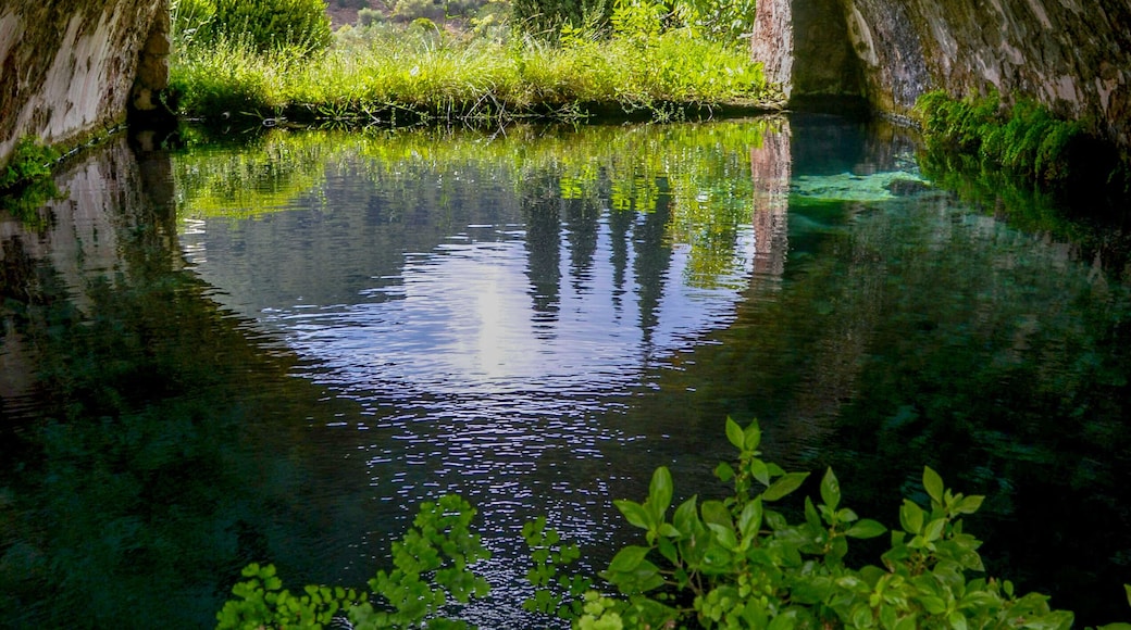 Stunning gardens in Mallorca.