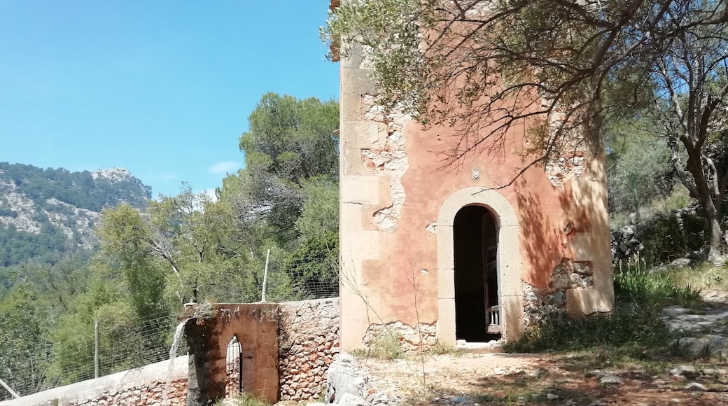 Raixa estate and gardens date back to Islamic farmstead, but only the name remains. From 1229 it belonged to Spain. There have been many owners and reconstructions during times.
Raixa is specially known because of it´s gardens surrounding buildings and up to slopes of sa Muntanyeta. We concentrated on peaceful gardens and wandered from house to water tank.
Artificial pond was greated to keep gardens watered. Water tank is 83 metres long, 17 wide and 7,5 deep. There was swimming huge fish, don’t know the name of those striped grey ones.
https://raixa.conselldemallorca.cat/en/home