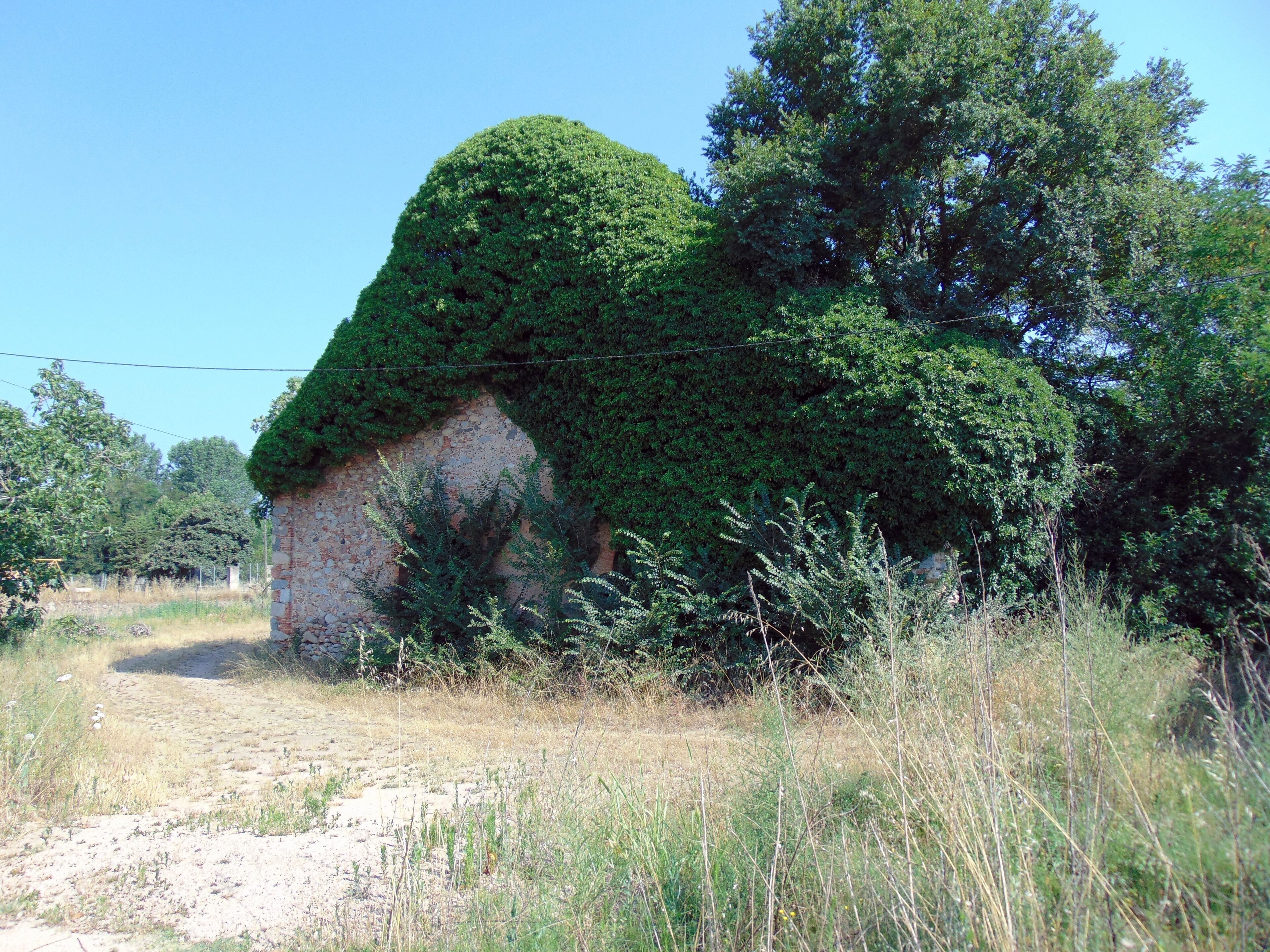 A stone building partially covered with green foliage.