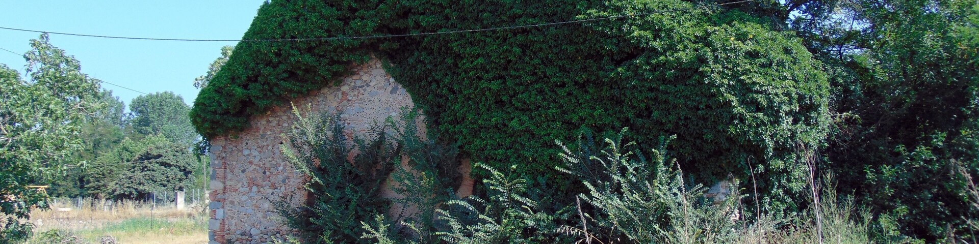 A stone building partially covered with green foliage.