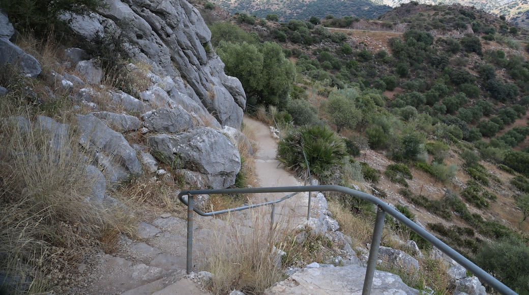 Benaoján, 29370, Málaga, Spain