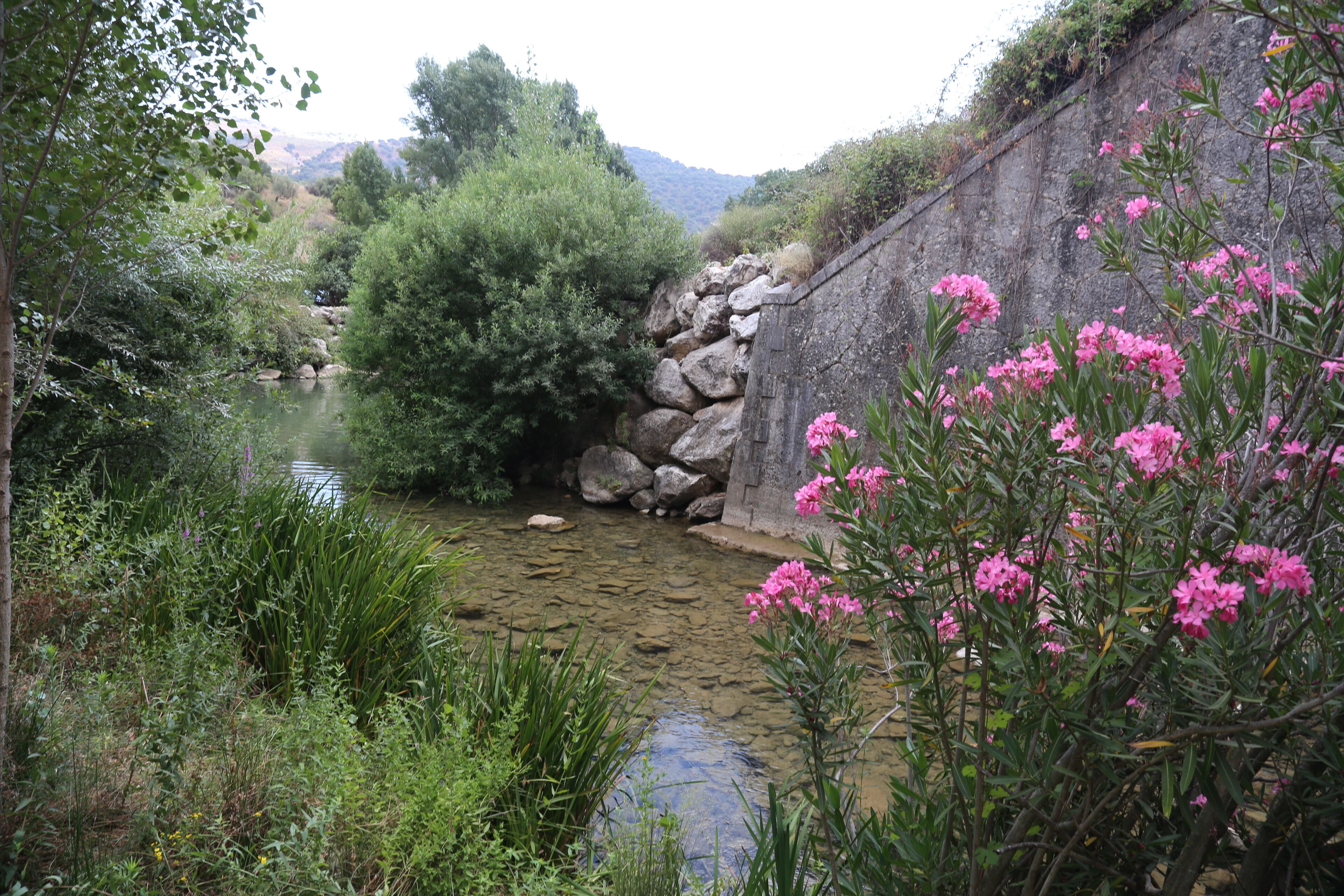 Benaoján, 29370, Málaga, Spain