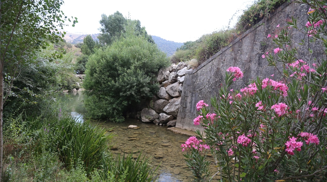 Benaoján, 29370, Málaga, Spain