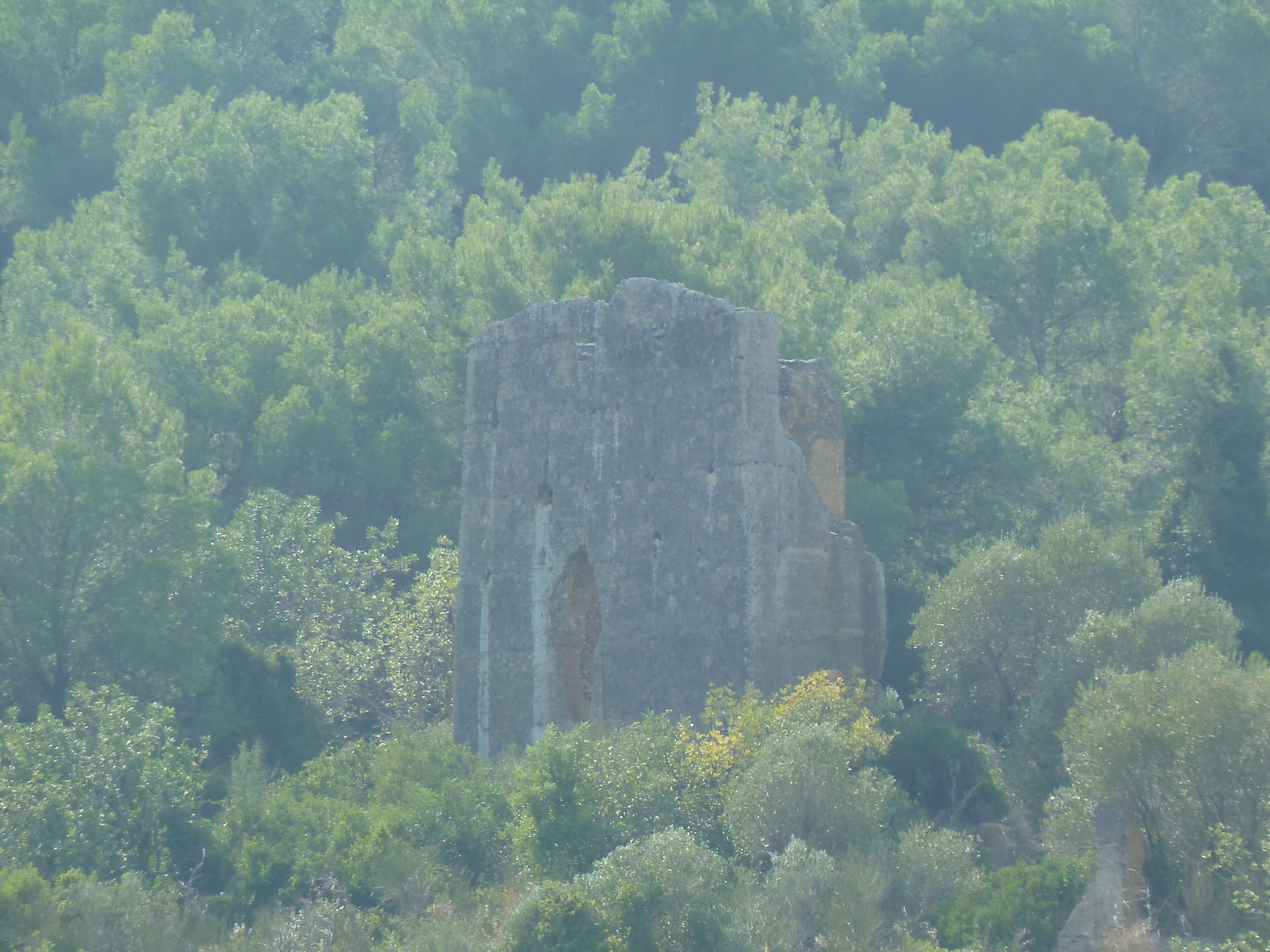 Torre de Viola