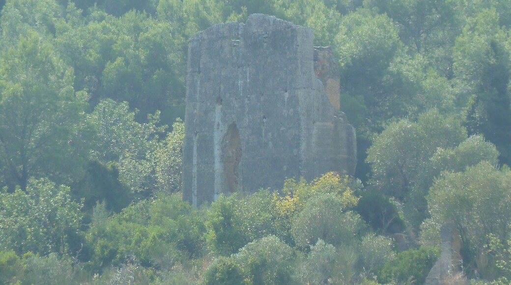 Torre de Viola