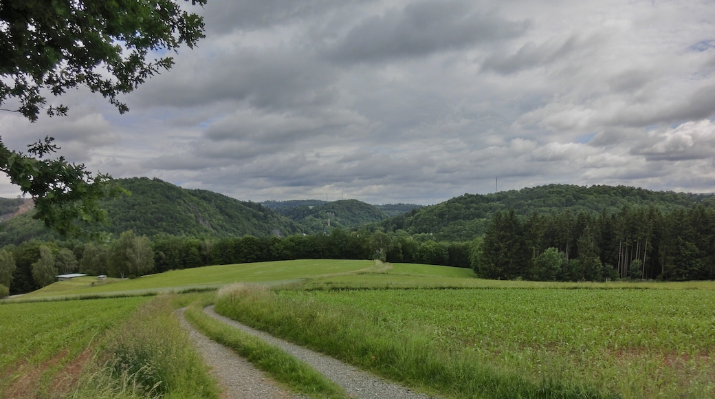 Bad Berneck von Süden