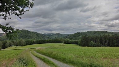 Bad Berneck von Süden